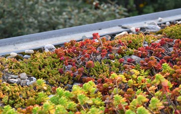 the cost of Oasby green roof installation