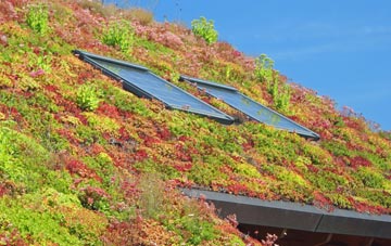 Oasby living roof systems